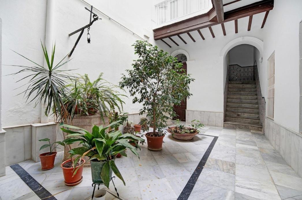 Precioso Alojamiento En Cadiz Junto Al Mercado Exterior foto